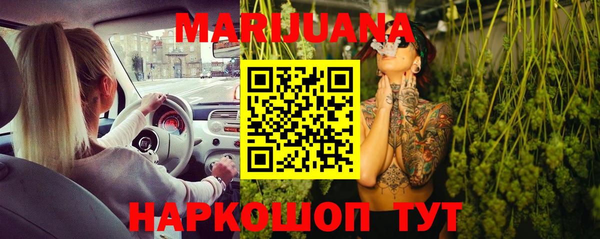 Канабис план Зеленогорск